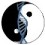 Yin-Yang DNA icon
